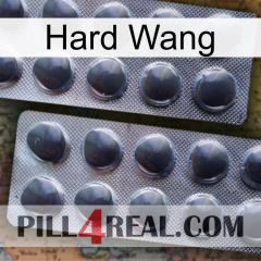 Hard Wang 31